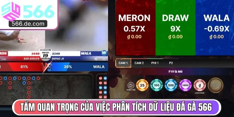 Tầm quan trọng của việc phân tích dữ liệu đá gà 566