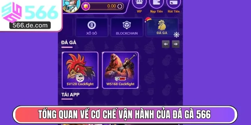 Tổng quan về cơ chế vận hành của đá gà 566
