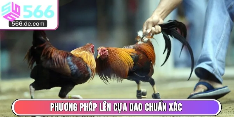 Phương pháp lên cựa dao chuẩn xác