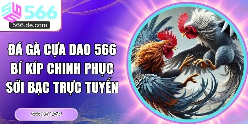 đá gà cựa dao 566