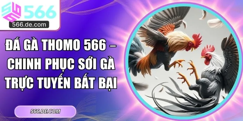 đá gà Thomo