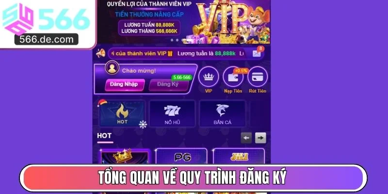 Tổng quan về quy trình đăng ký dành cho người mới