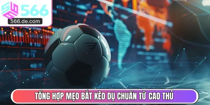 Tổng hợp mẹo bắt kèo dụ chuẩn từ cao thủ