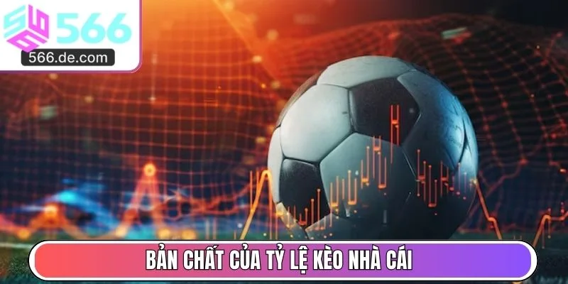 Hệ thống định nghĩa và bản chất của tỷ lệ kèo nhà cái