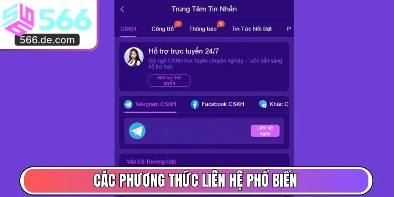 Các phương thức liên hệ phổ biến