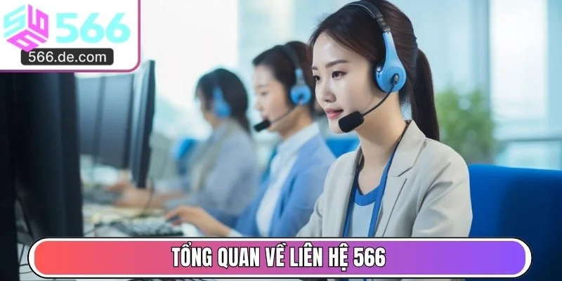Tổng quan về liên hệ 566