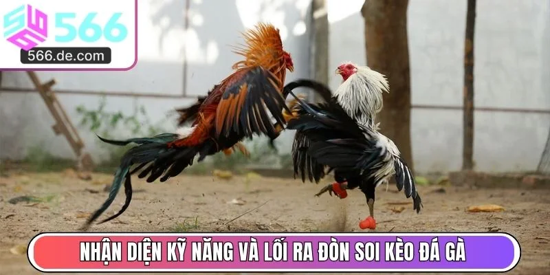 Nhận diện kỹ năng và lối ra đòn soi kèo đá gà