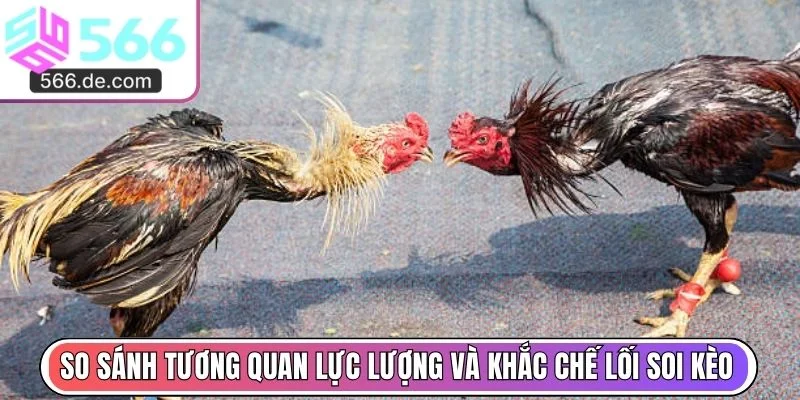 So sánh tương quan lực lượng và khắc chế lối soi kèo