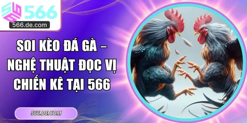 soi kèo đá gà